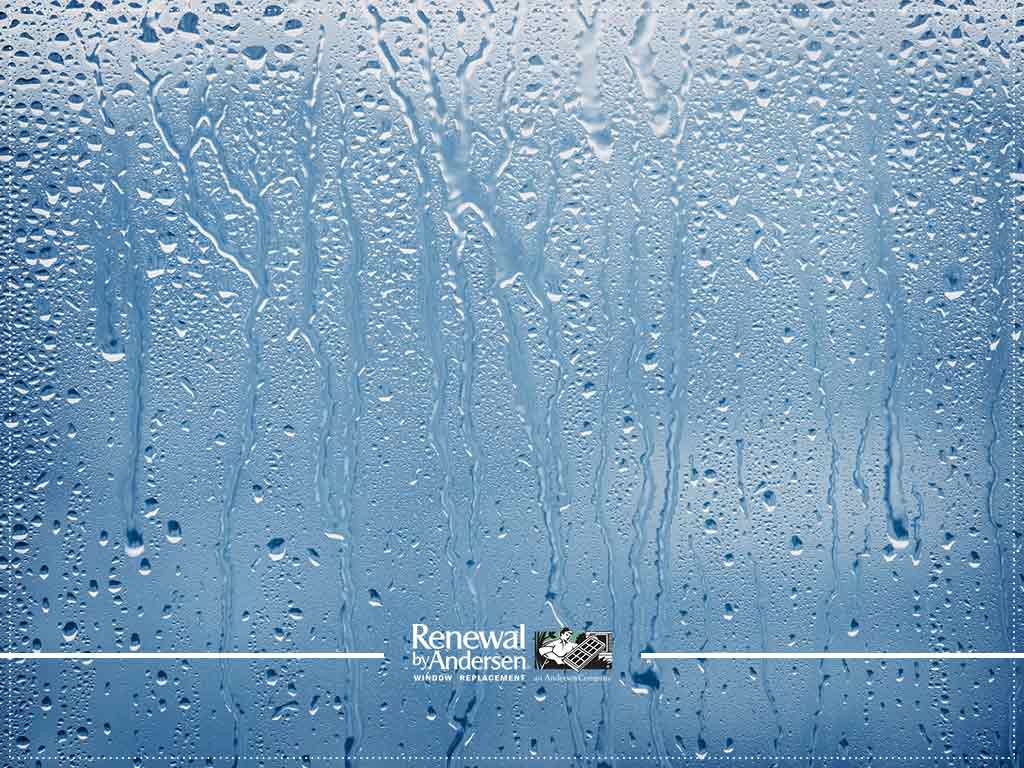 Condensation In Windows